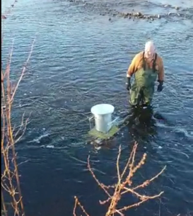 Run of River Hydro WESGen®